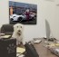 furry_paw_pics_bespoke_boss_paw_abstract_chairs_office_1